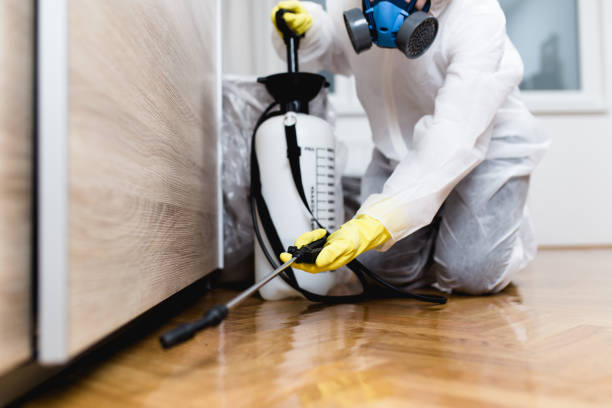 Best Best Pest Control Companies  in Wilder, KY