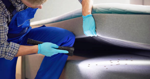 Best Best Pest Control Companies  in Wilder, KY