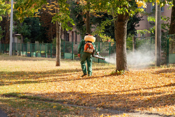 Best Flea Control Services  in Wilder, KY